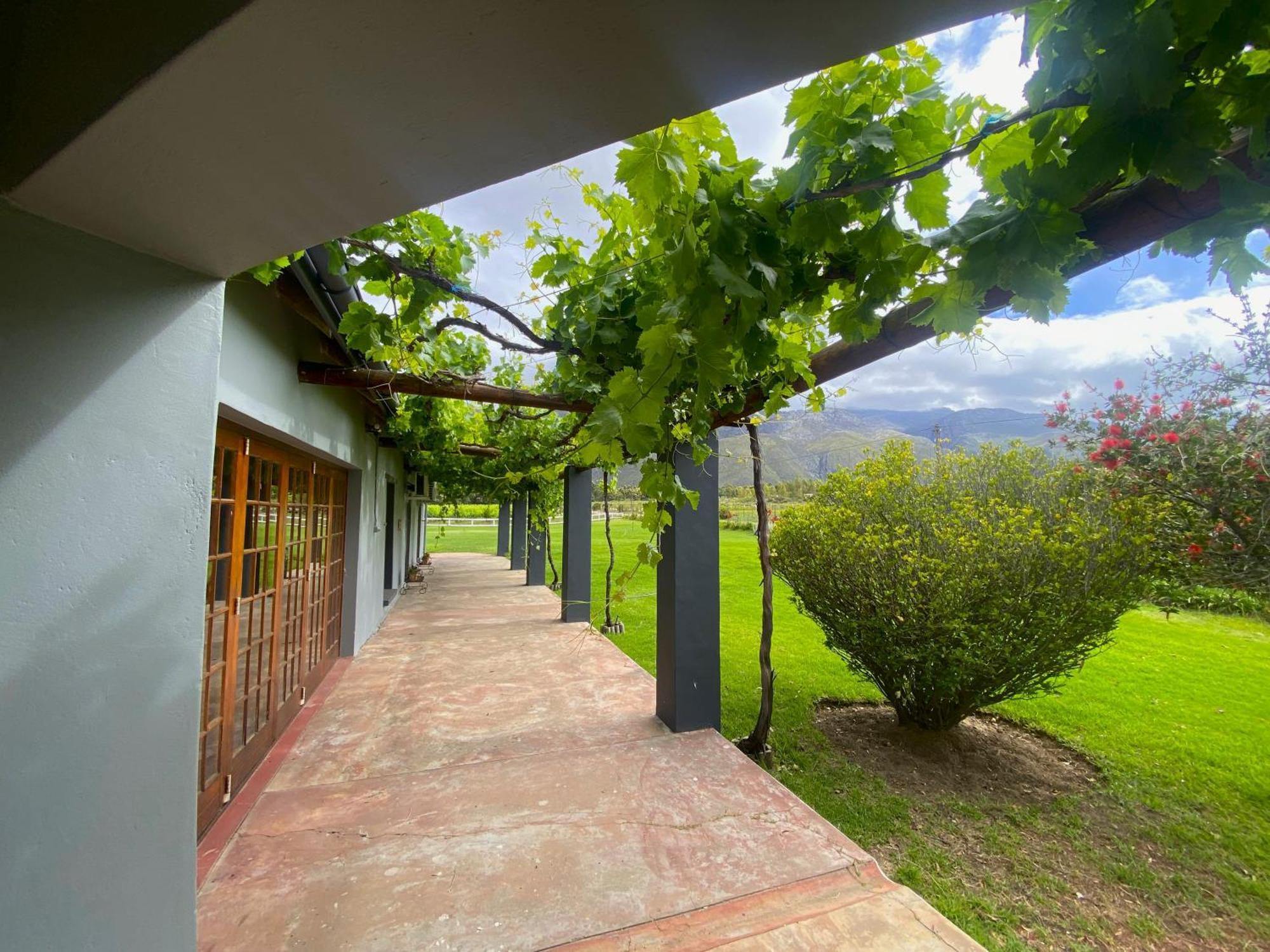 Oaksrest Vineyards Guest Farm Hotell Ladismith Exteriör bild